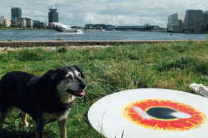 Foto: Erwin Verbruggen